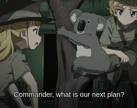 What are our next plans?